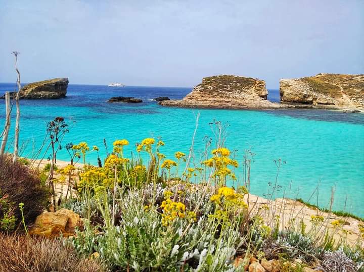 magické Comino a modrá laguna