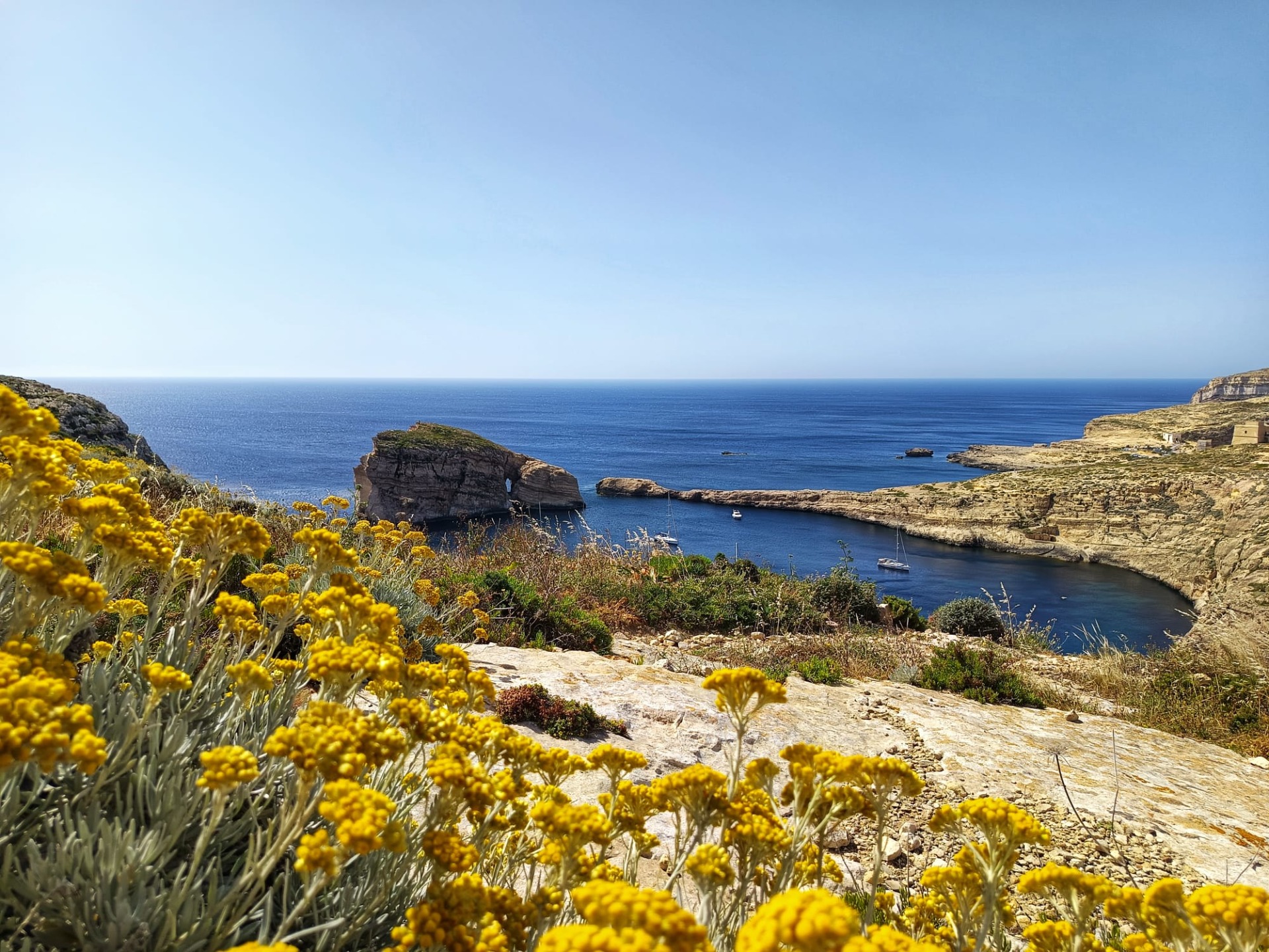 zátoka Dwejra a rozkvetlé Helichrysum