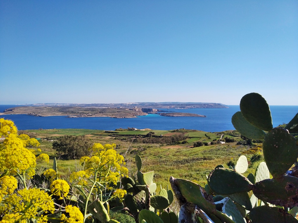 výhled na protější ostrov Comino